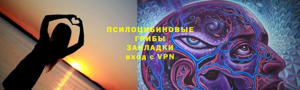 СК Белокуриха