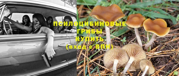 СК Белокуриха