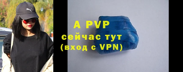 СК Белокуриха